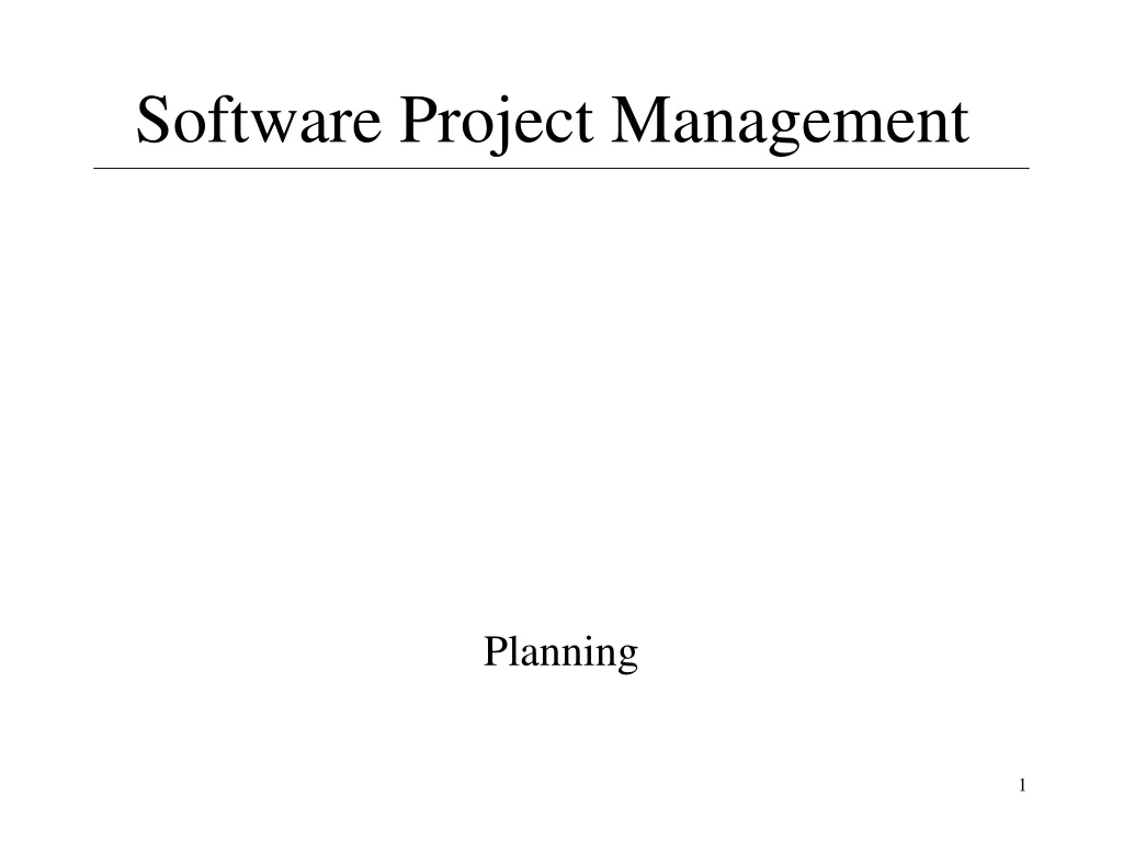 software project management