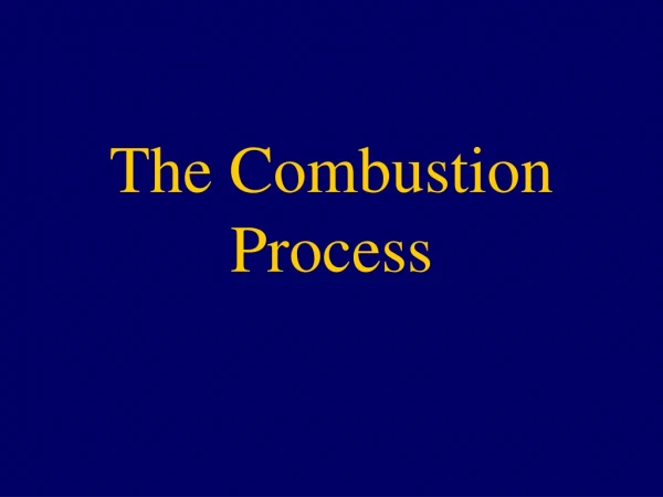 The Combustion Process