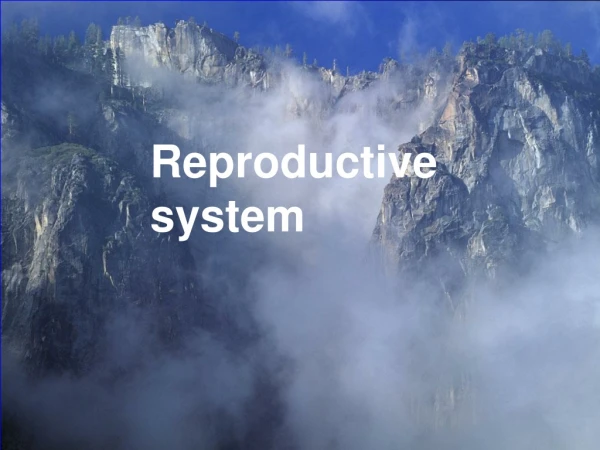 Reproductive        system