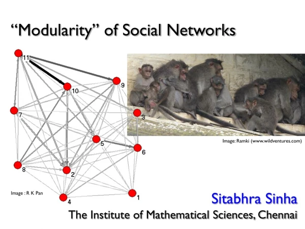 “Modularity” of Social Networks