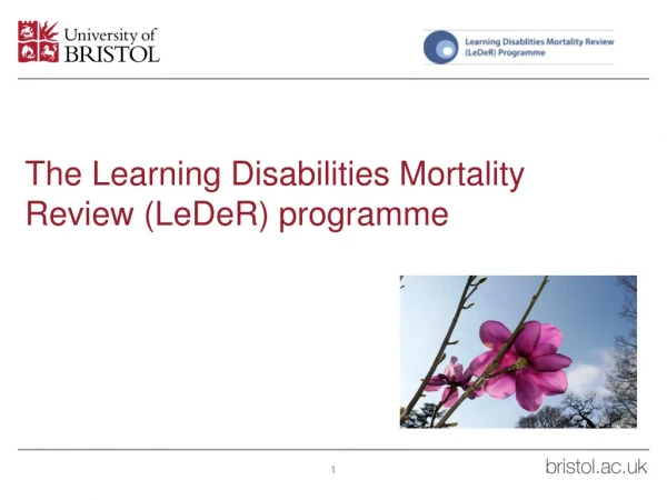 The Learning Disabilities Mortality Review (LeDeR) programme