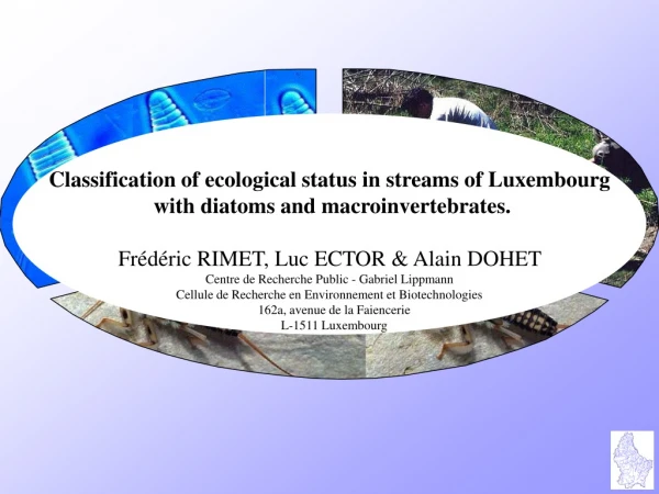 Classification of ecological status in streams of Luxembourg  with diatoms and macroinvertebrates.