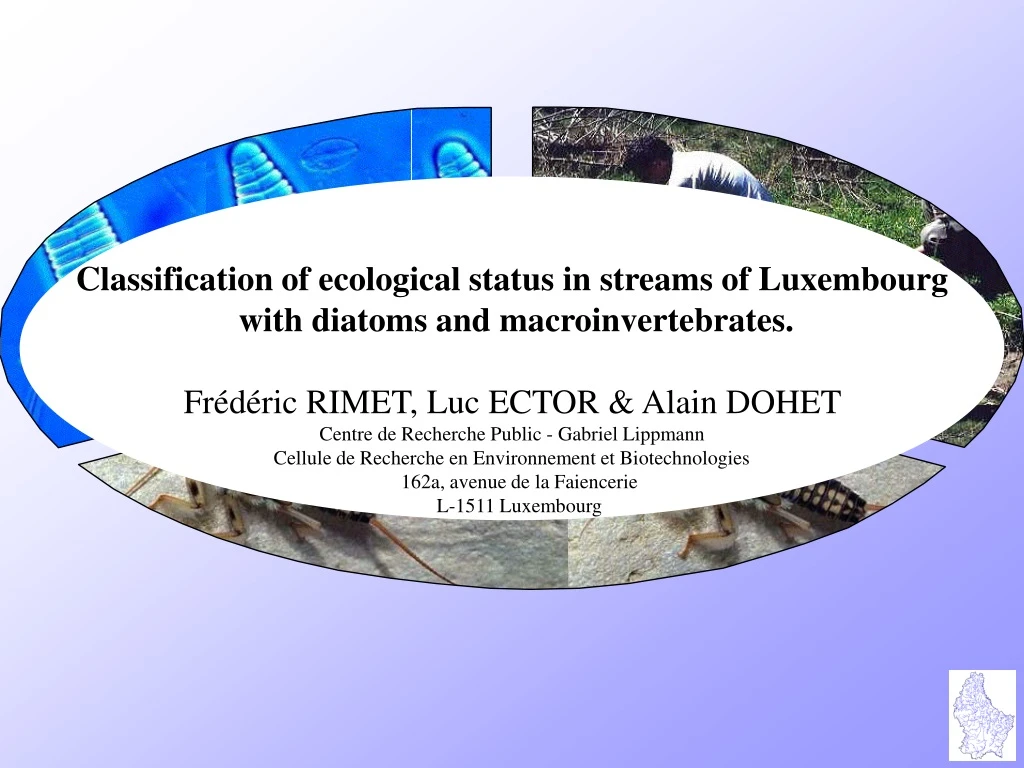 classification of ecological status in streams