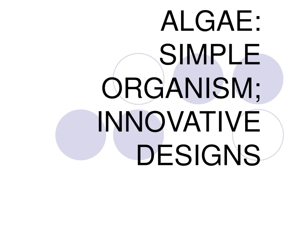 algae simple organism innovative designs