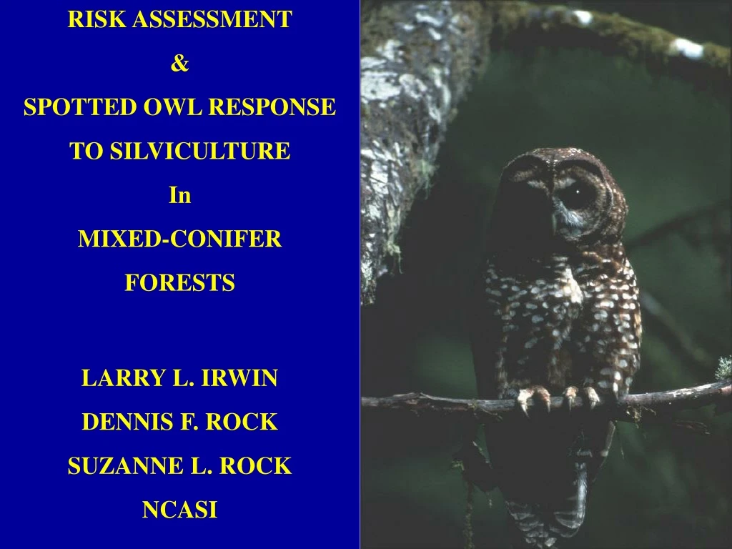 risk assessment spotted owl response