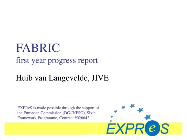 FABRIC first year progress report