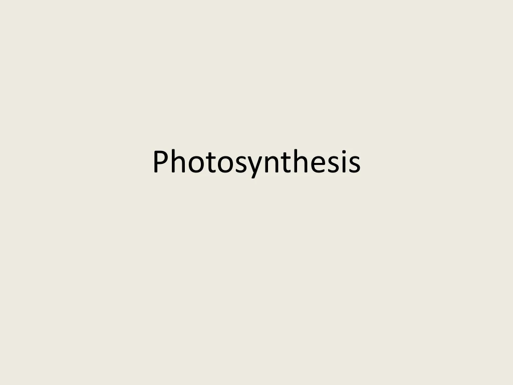 photosynthesis