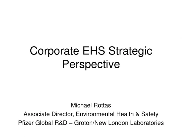 Corporate EHS Strategic Perspective