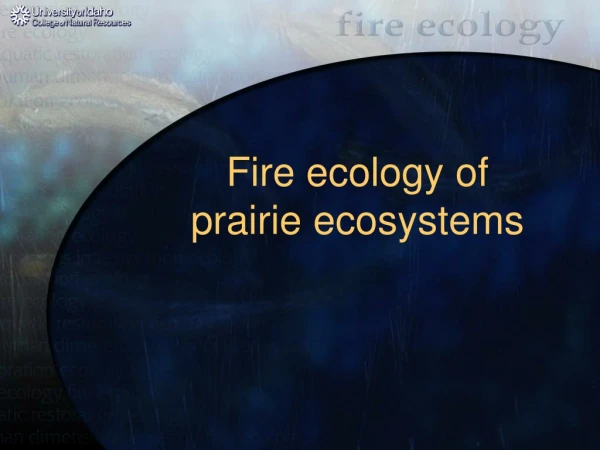 Fire ecology of  prairie ecosystems