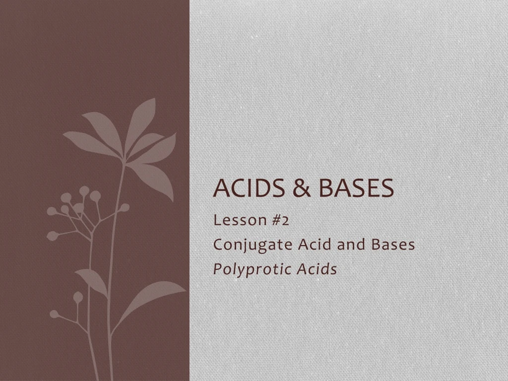 acids bases