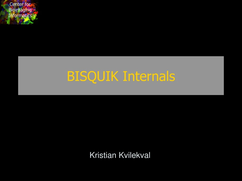 bisquik internals