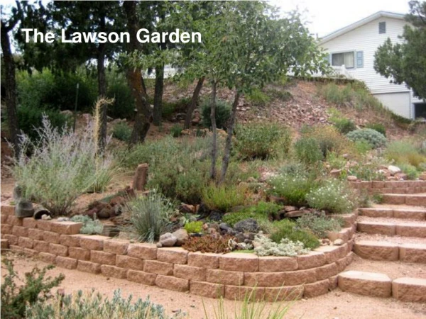 The Lawson Garden