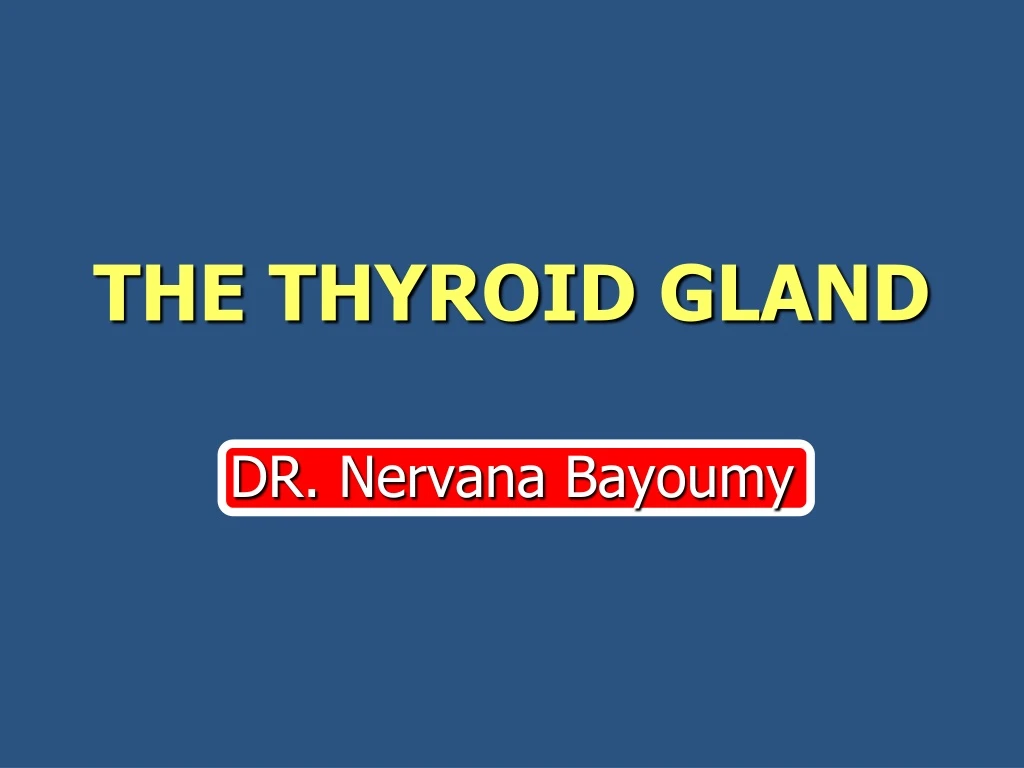 the thyroid gland