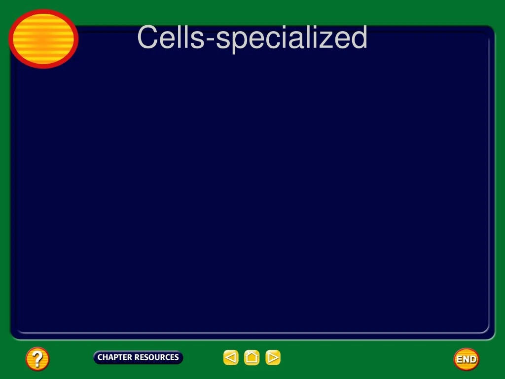 cells specialized