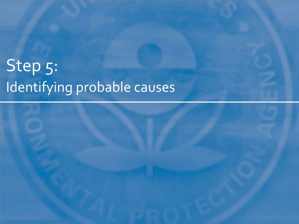 step 5 identifying probable causes