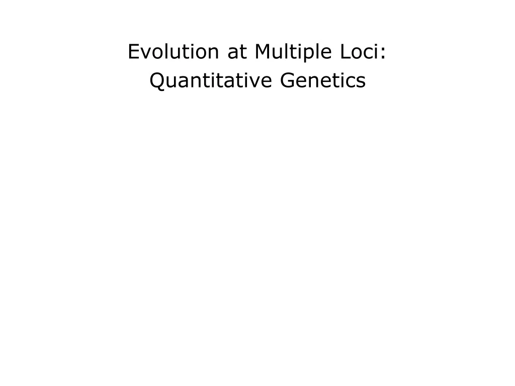 evolution at multiple loci quantitative genetics