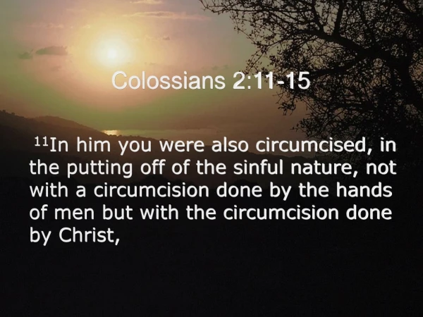 Colossians 2:11-15