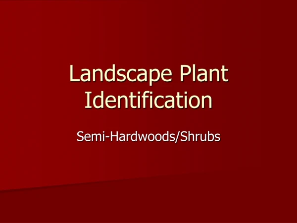 Landscape Plant Identification