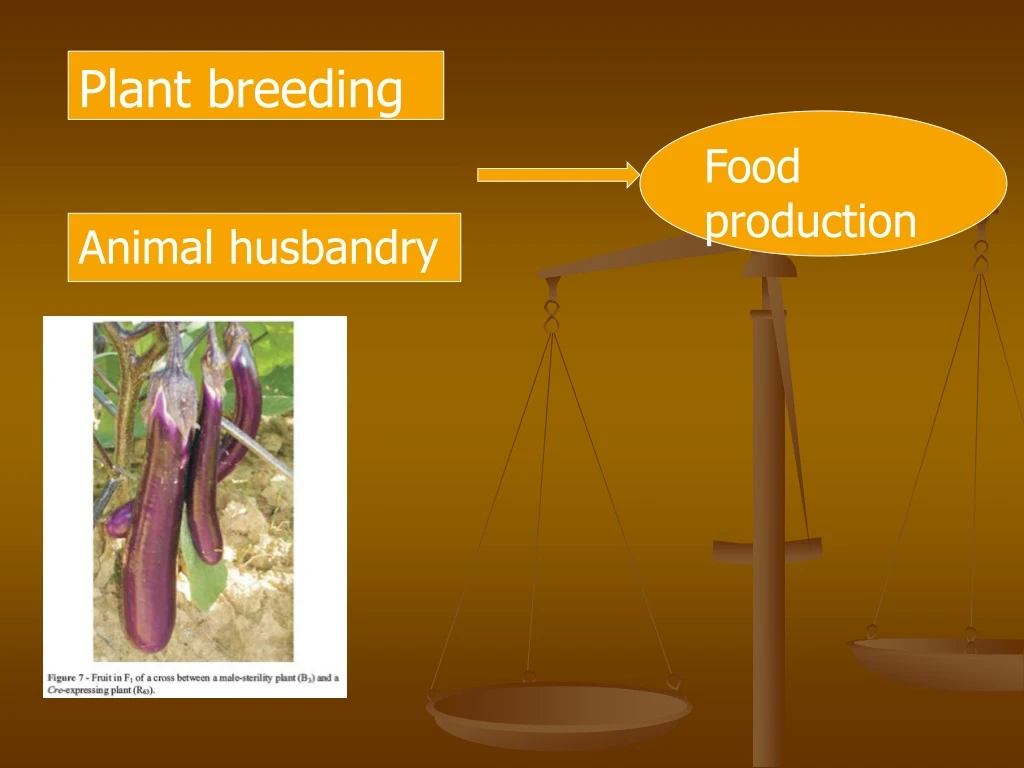 plant breeding