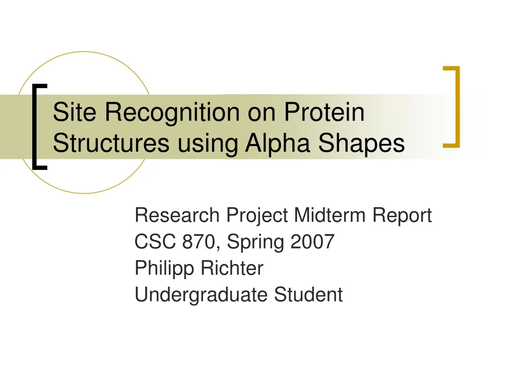 site recognition on protein structures using alpha shapes