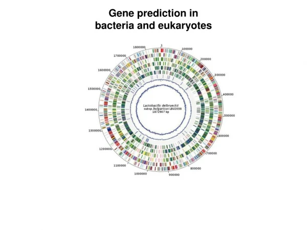 Gene prediction in  bacteria and eukaryotes