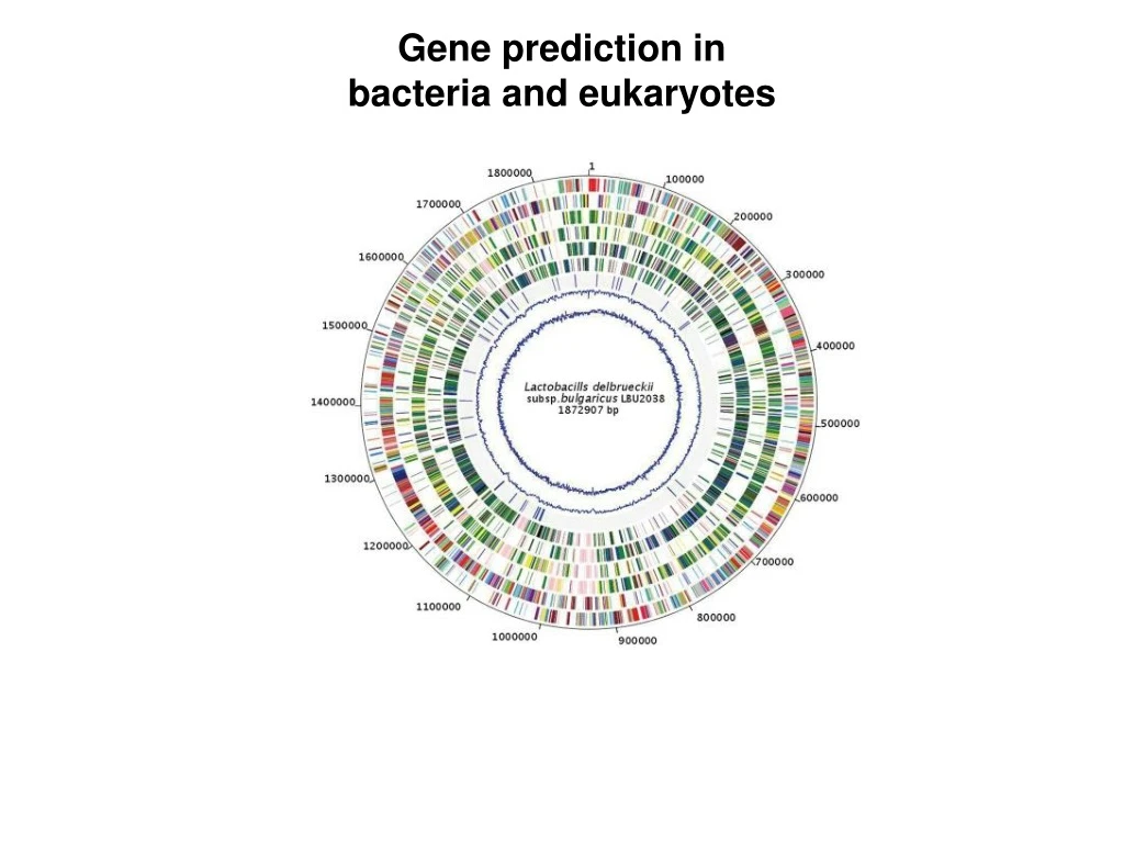 gene prediction in bacteria and eukaryotes
