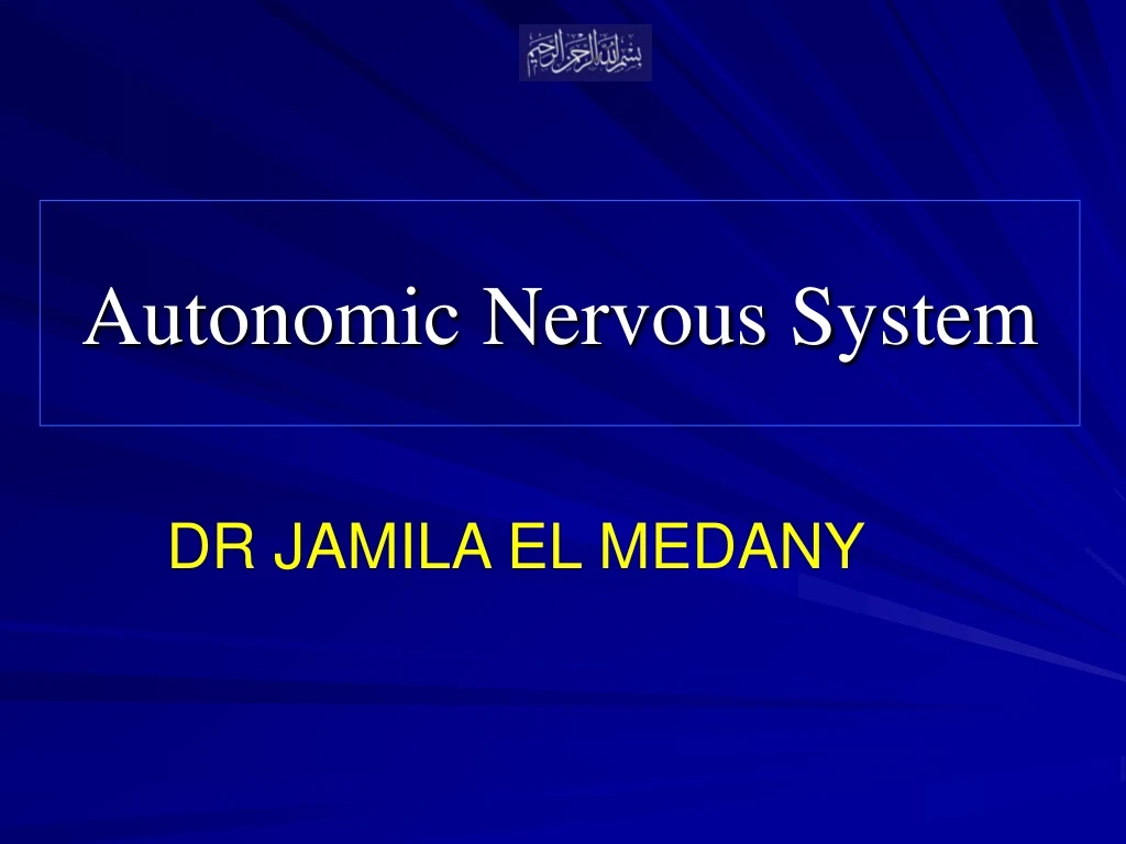 autonomic nervous system