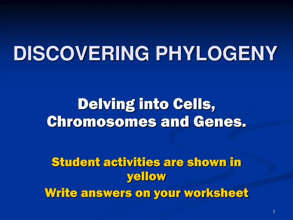 discovering phylogeny