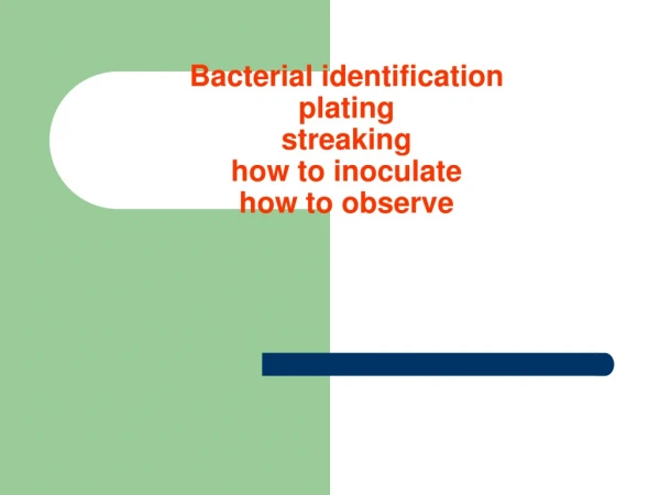 Bacterial identification plating streaking  how to inoculate how to observe