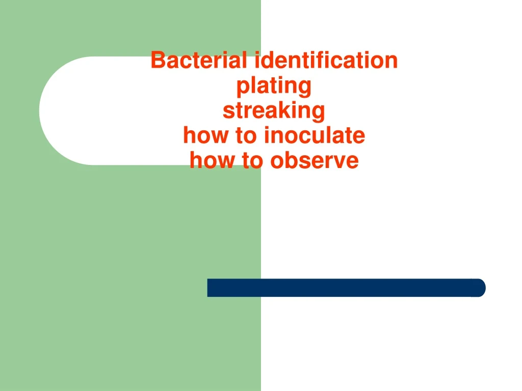 bacterial identification plating streaking how to inoculate how to observe