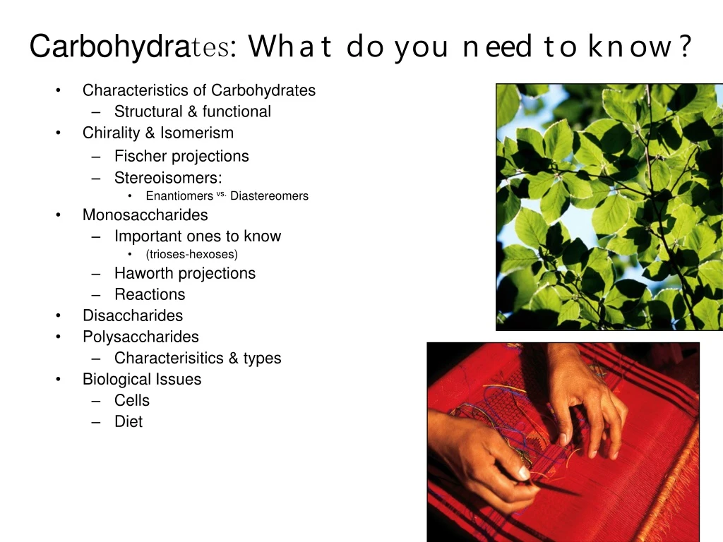 carbohydra tes what do you need to know