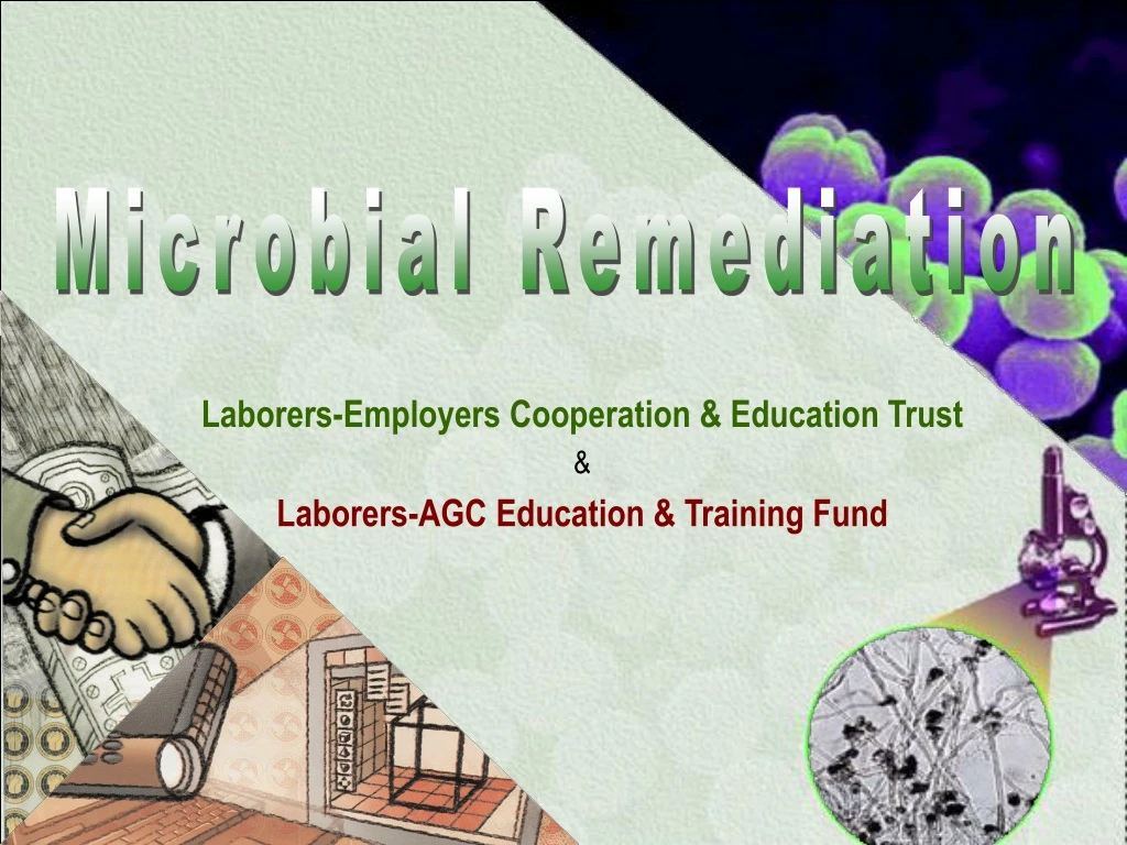 microbial remediation