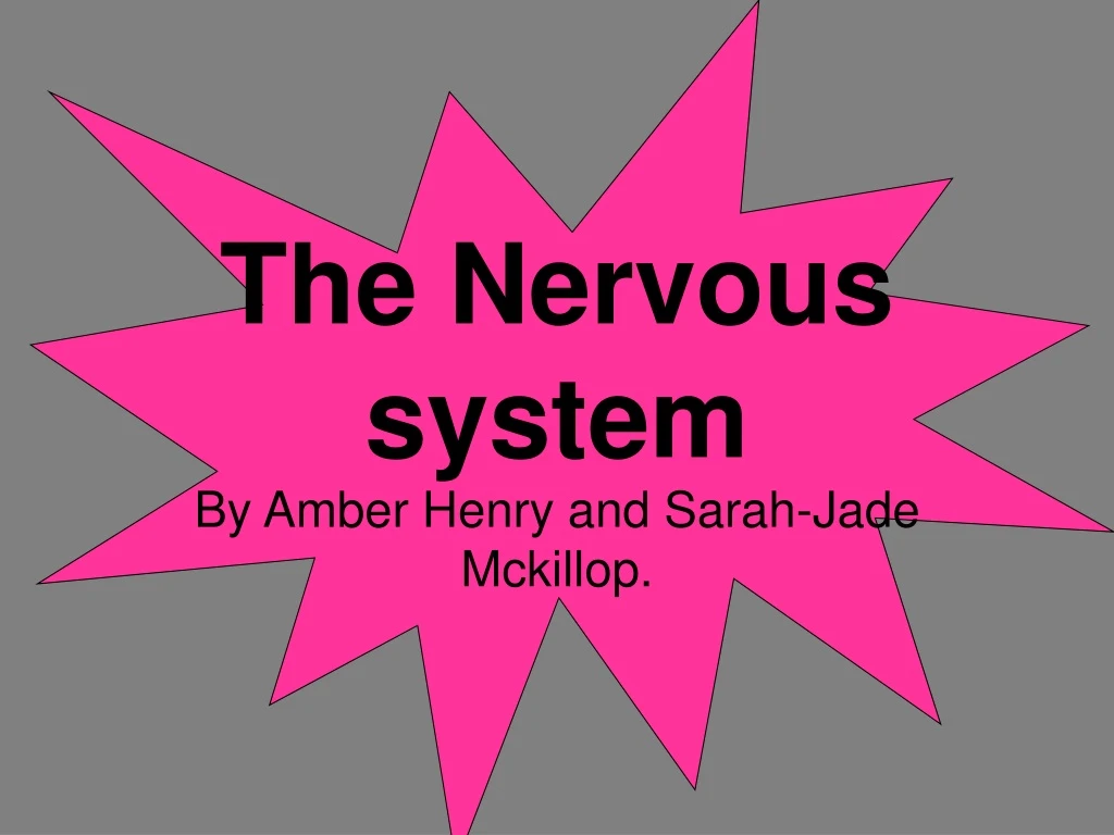 the nervous system