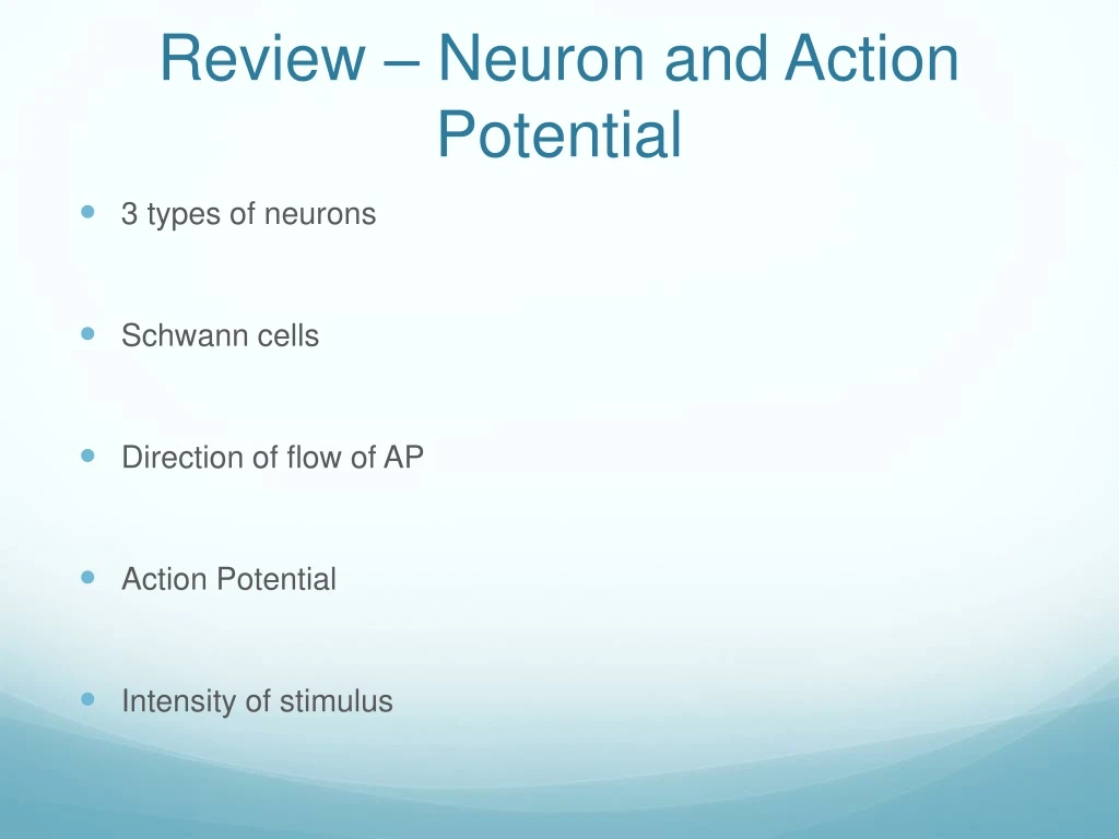 review neuron and action potential