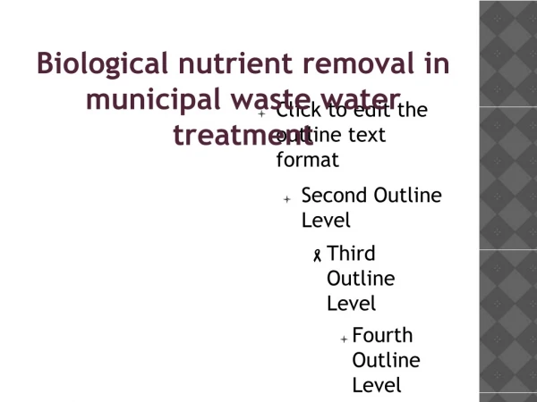 Biological nutrient removal in municipal waste water treatment