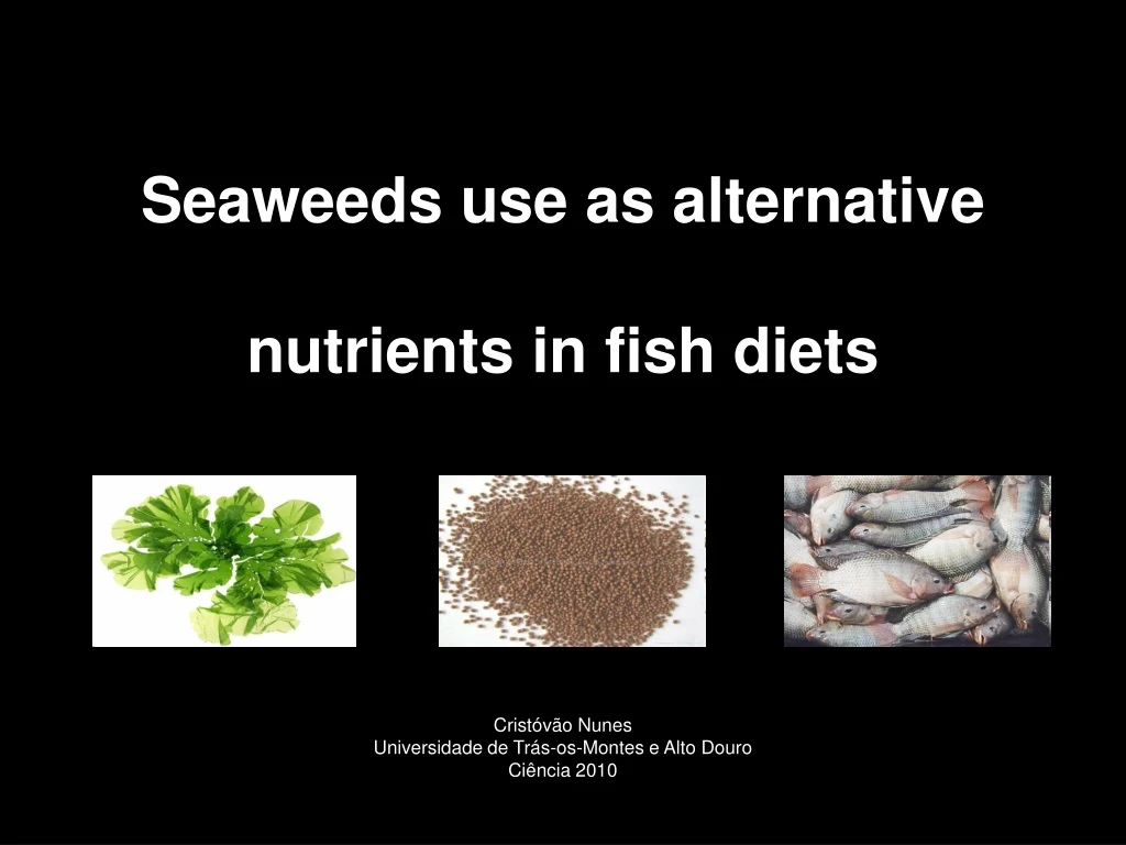 seaweeds use as alternative nutrients in fish