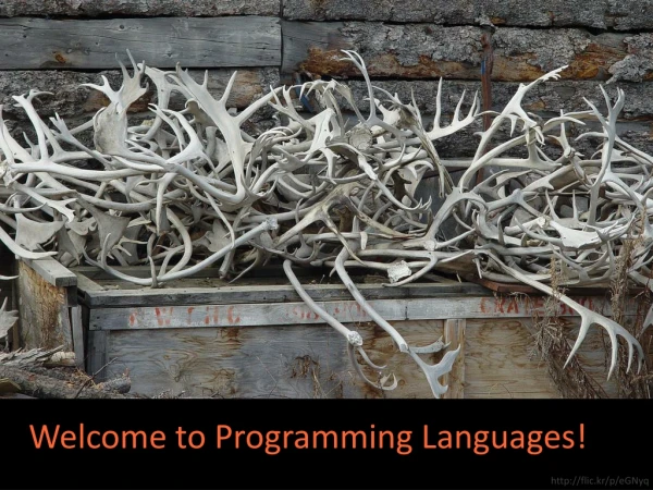 Welcome to Programming Languages!