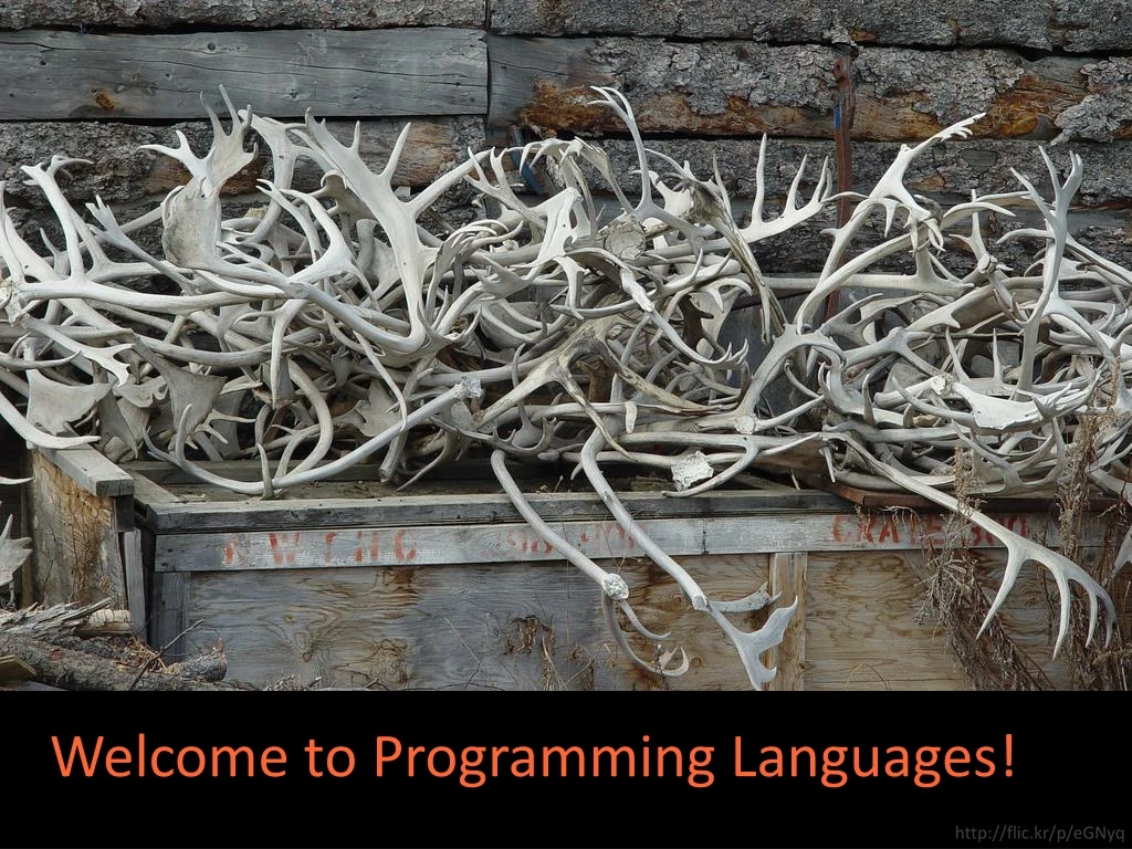 welcome to programming languages