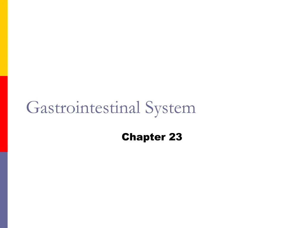 gastrointestinal system