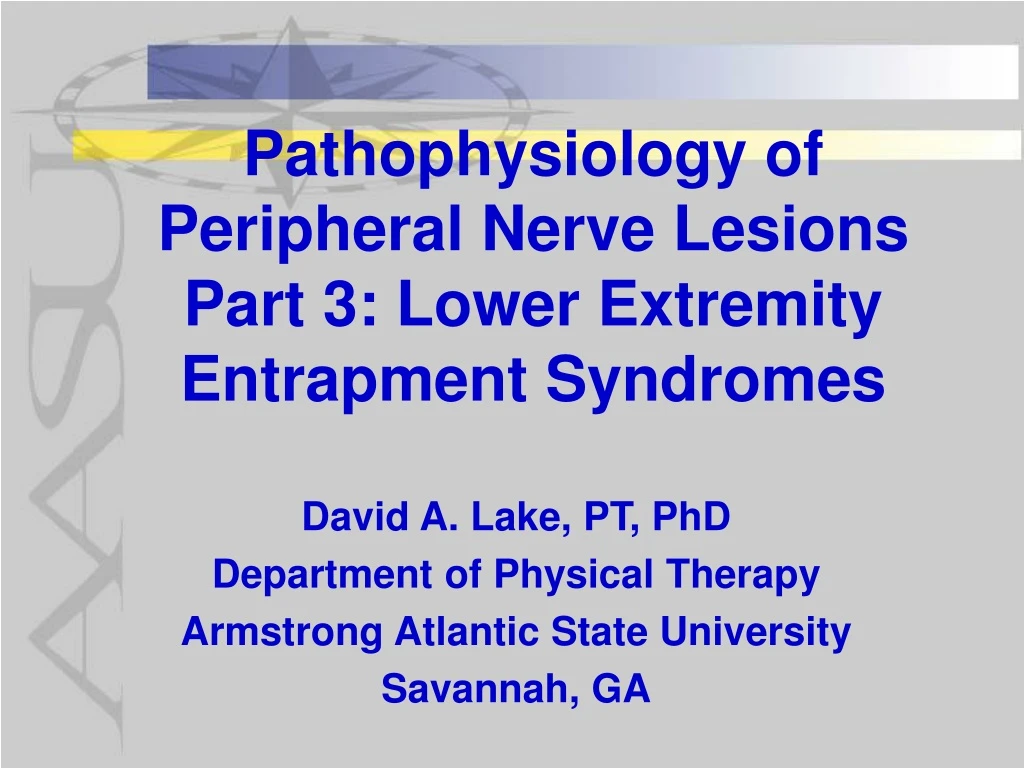 pathophysiology of peripheral nerve lesions part 3 lower extremity entrapment syndromes