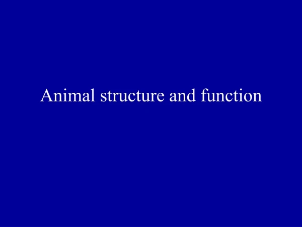 Animal structure and function
