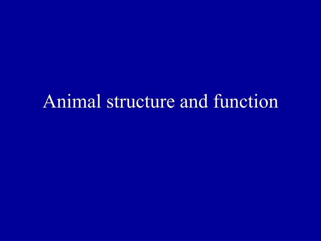 animal structure and function