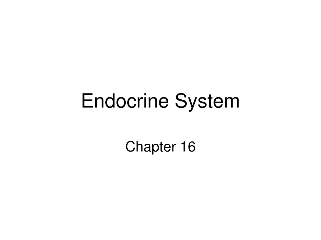 endocrine system