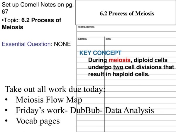 Set up Cornell Notes on pg. 67 Topic:  6.2 Process of Meiosis Essential Question : NONE