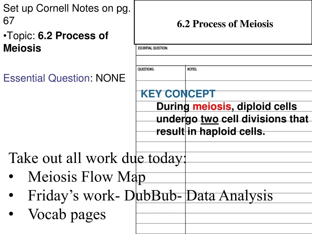 6 2 process of meiosis