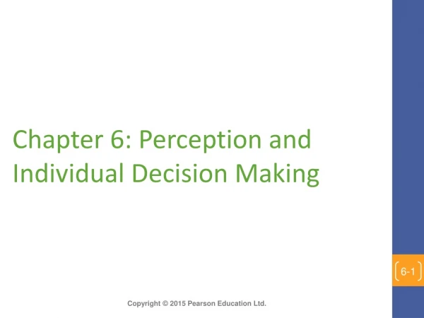 Chapter 6: Perception and  Individual Decision Making