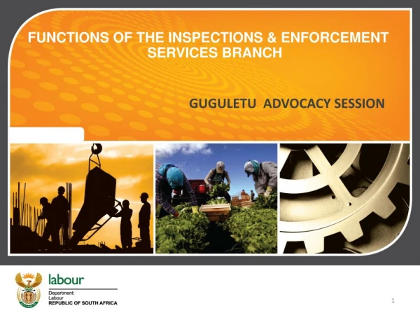 FUNCTIONS OF THE INSPECTIONS &amp; ENFORCEMENT   	SERVICES BRANCH