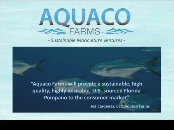 Innovative Solutions for today’s Fish Sourcing Needs