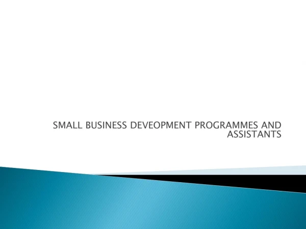 SMALL BUSINESS DEVEOPMENT PROGRAMMES AND ASSISTANTS