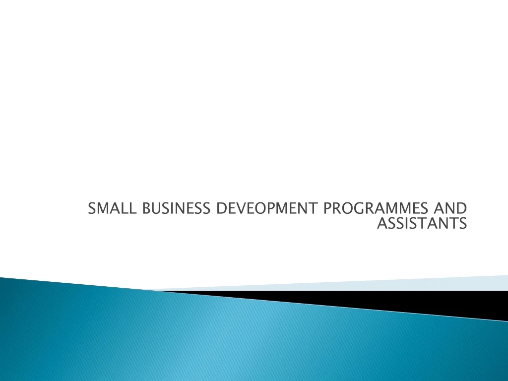 small business deveopment programmes and assistants